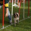 agility 2011-10-30